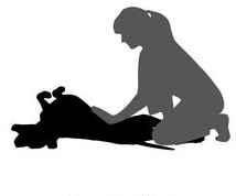 Femme caresses chien illustration csp7306582